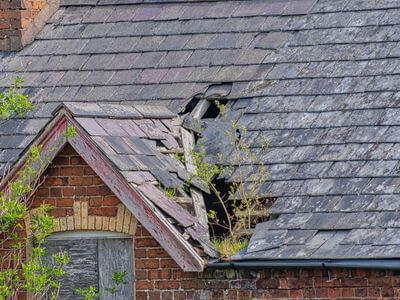 Professional water damage restoration services in Vaughan - Rapid Restore Ontario