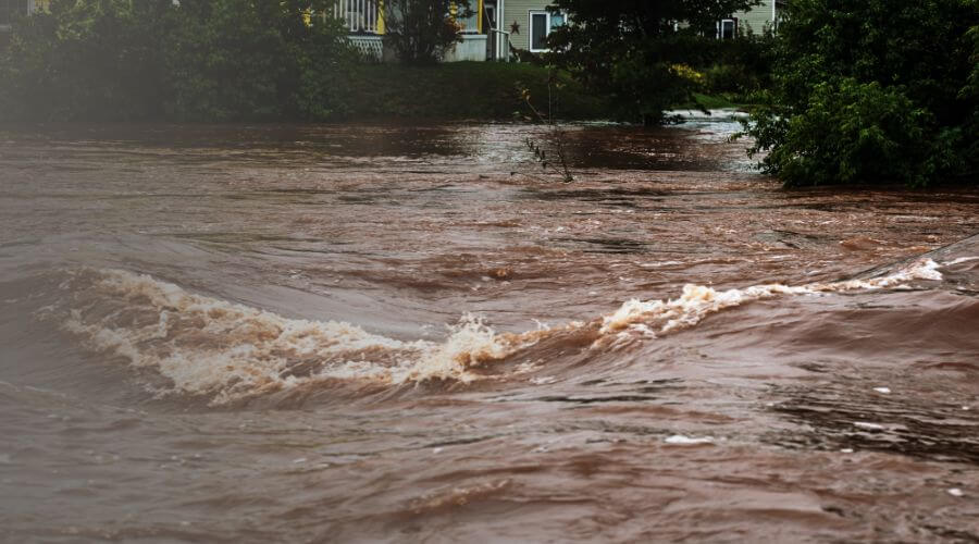 Why choose Rapid Restore Ontario for water damage restoration in Vaughan